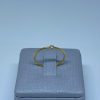 ANEL MINI ZIRC CENTRAL BRUTO